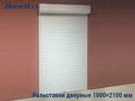 Рольставни на двери 1000×2100 мм в Петрозаводске от 27049 руб.