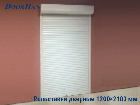 Рольставни на двери 1200×2100 мм в Петрозаводске от 29795 руб.