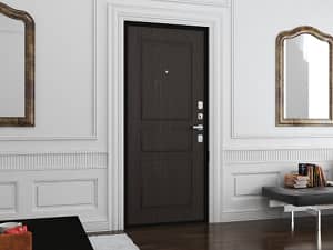 Купить железную входную дверь Премиум Плюс 990х2050 для частного дома в Петрозаводске
